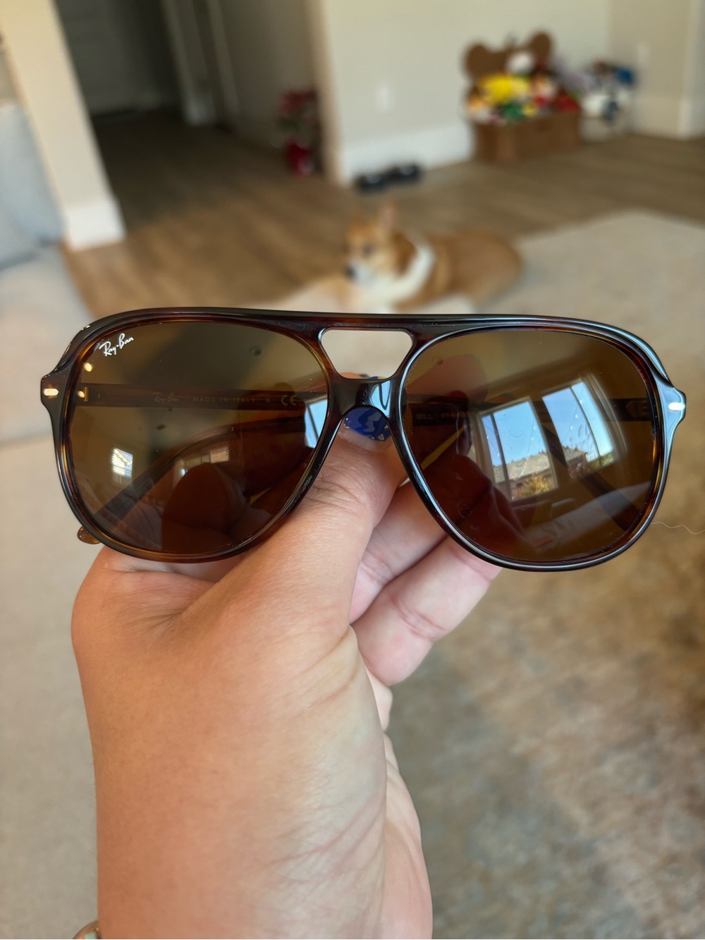 Ray-Ban Men’s Brown/Tortoiseshell Aviator Sunglasses